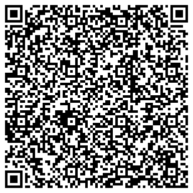 QR-код с контактной информацией организации Шиномонтажная мастерская на ул. Виллози, 11 к1