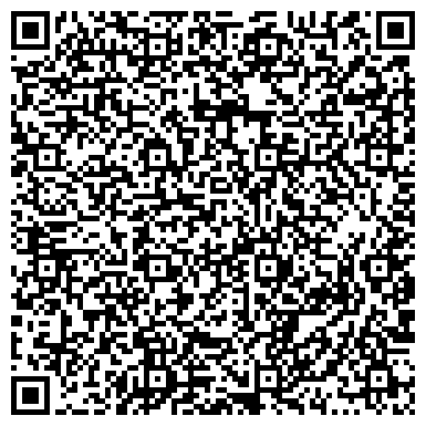 QR-код с контактной информацией организации Шиномонтажная мастерская на Красной Звезды, 3а