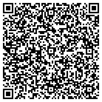 QR-код с контактной информацией организации Свет Звезды