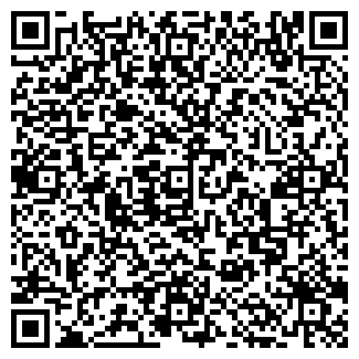 QR-код с контактной информацией организации Норильск