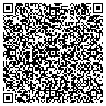 QR-код с контактной информацией организации Детская школа искусств Ленинградского района