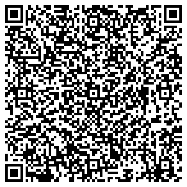 QR-код с контактной информацией организации Норильская детская художественная школа