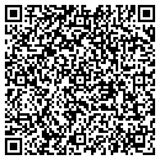 QR-код с контактной информацией организации Кристина