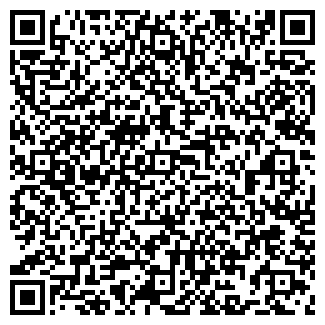 QR-код с контактной информацией организации СИСТЕМЫ БЕЗОПАСНОСТИ