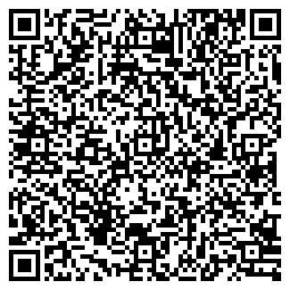 QR-код с контактной информацией организации ИП Дзгоев Д.В.