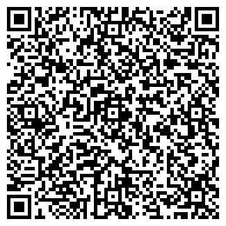 QR-код с контактной информацией организации Викинги