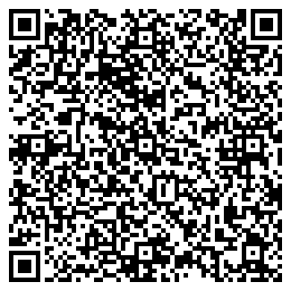 QR-код с контактной информацией организации Амика