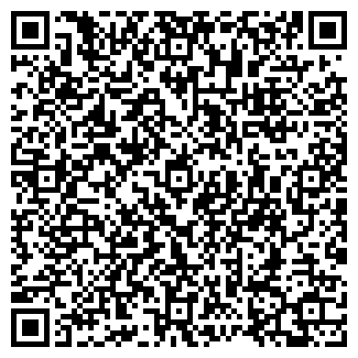 QR-код с контактной информацией организации Bronze