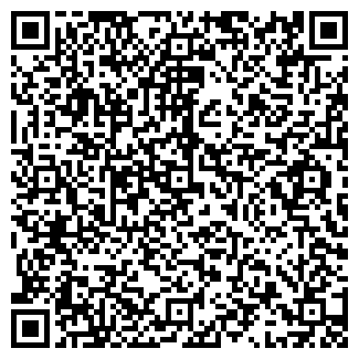 QR-код с контактной информацией организации Black cat