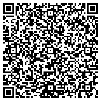 QR-код с контактной информацией организации Andy, караоке-бар