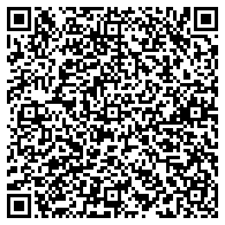 QR-код с контактной информацией организации Бар на Будапештской, 11