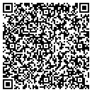 QR-код с контактной информацией организации Stefani