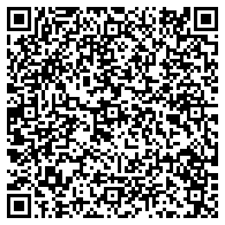 QR-код с контактной информацией организации "Барс"