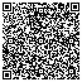 QR-код с контактной информацией организации ИП 1000 мелочей, магазин