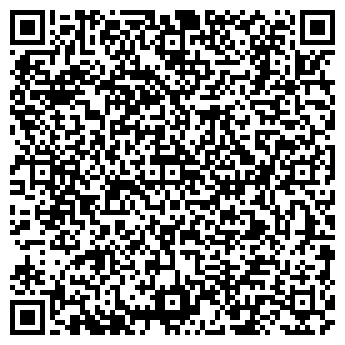 QR-код с контактной информацией организации ИП Набиев Э.М.