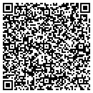 QR-код с контактной информацией организации Льдинка
