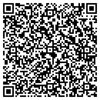 QR-код с контактной информацией организации Rambler