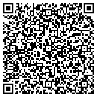 QR-код с контактной информацией организации Mitte