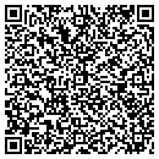 QR-код с контактной информацией организации Чайка