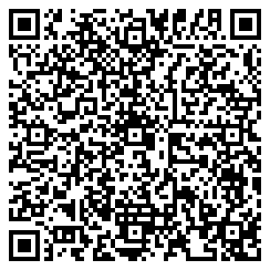 QR-код с контактной информацией организации Шайба