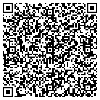 QR-код с контактной информацией организации Кинг Понг, кафе