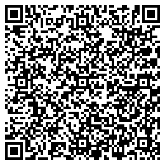 QR-код с контактной информацией организации Cafe Mini