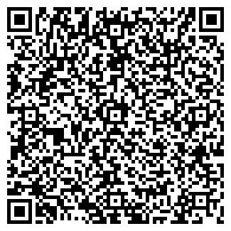 QR-код с контактной информацией организации Бистро на Бассейной, 41д