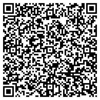 QR-код с контактной информацией организации WILDBERRIES