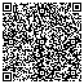 QR-код с контактной информацией организации Бистро на Разводной, 29