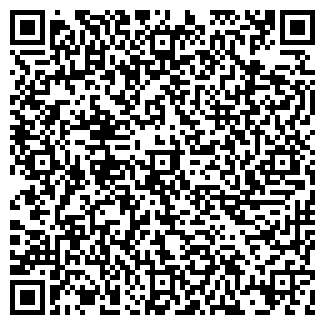 QR-код с контактной информацией организации Бистро на ул. Турку, 24 к2