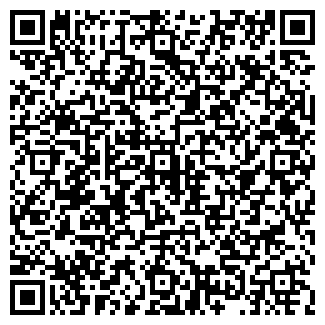 QR-код с контактной информацией организации Карнавал, магазин