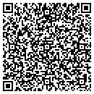 QR-код с контактной информацией организации Бистро на Народной, 33а