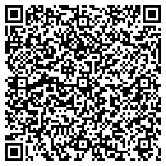 QR-код с контактной информацией организации Pelipasta