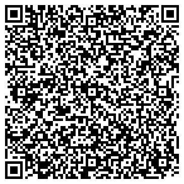 QR-код с контактной информацией организации Programming and Computer Software