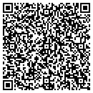QR-код с контактной информацией организации ИП Низамов Р.Р.