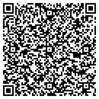 QR-код с контактной информацией организации СТОЛИЦА