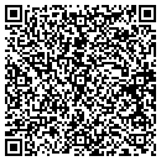 QR-код с контактной информацией организации Барс