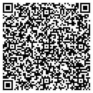 QR-код с контактной информацией организации "Пунто"