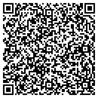 QR-код с контактной информацией организации Химчистка на Садовой, 49