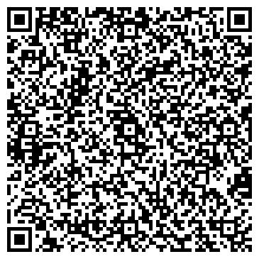 QR-код с контактной информацией организации Магазин дисков на Каменноостровском проспекте, 4