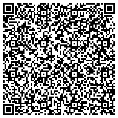 QR-код с контактной информацией организации ИП Денисова Н.Н.