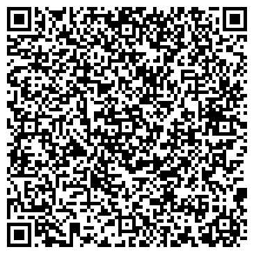 QR-код с контактной информацией организации Молния, магазин, ООО Альянс