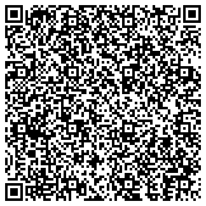 QR-код с контактной информацией организации Дреджинг Интернэшнл, гидротехническая компания, представительство в г. Санкт-Петербурге