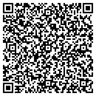 QR-код с контактной информацией организации Чишма