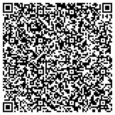 QR-код с контактной информацией организации Нордавиа, авиакомпания, представительство в г. Санкт-Петербурге
