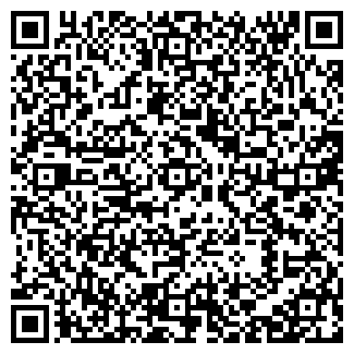 QR-код с контактной информацией организации Visalite