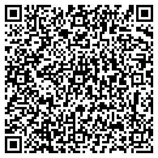 QR-код с контактной информацией организации БАРЫНИНО