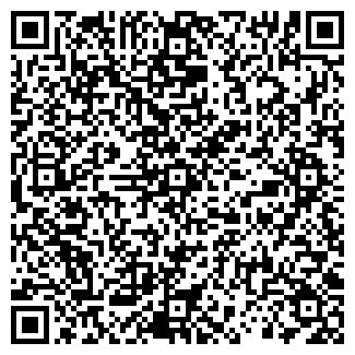 QR-код с контактной информацией организации Алсу, кафе
