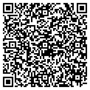 QR-код с контактной информацией организации Che Max