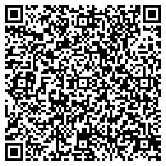 QR-код с контактной информацией организации ИП Чэнь М.Б.